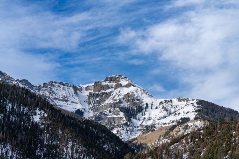 Colorado hiker missing for months found dead with his dog still alive ...
